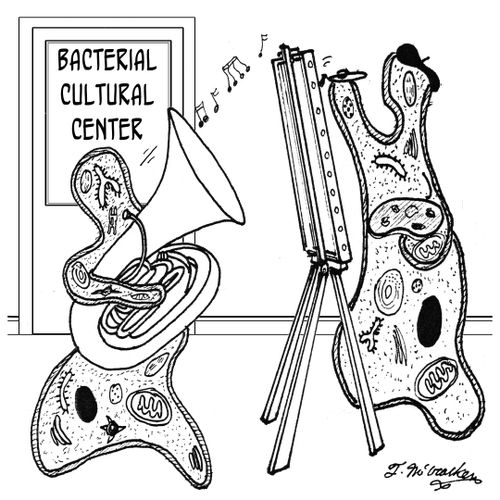 Bacterial Cultural Center