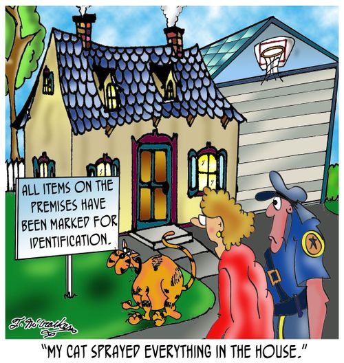 All items on the premises have been marked for identification: 'My cat sprayed everything in the house.'