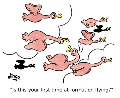 'Is this your first time at formation flying?'