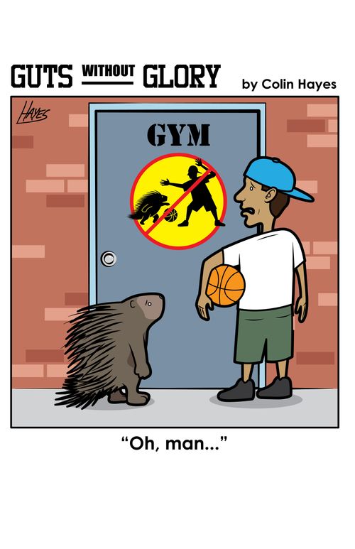 No Playing Basketball with Porcupines