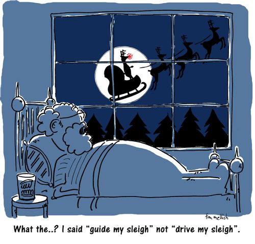 "What the...? I said 'guide my sleigh' not 'drive my sleigh'."