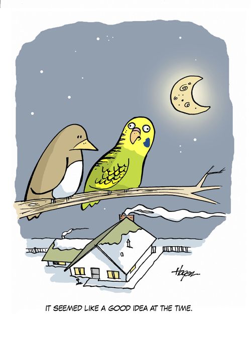 'It seemed like a good idea at the time.'