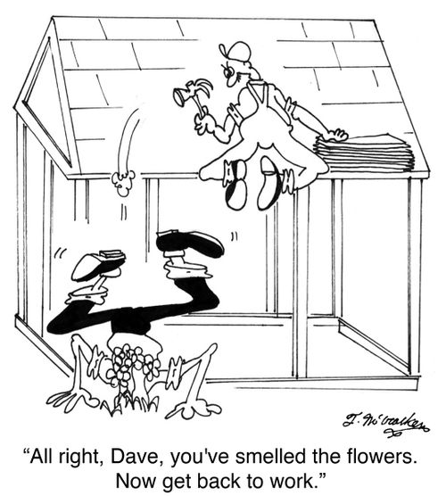 'All right, Dave, you've smelled the flowers. Now get back to work.'