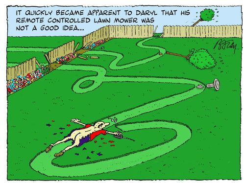 It quickly became apparent to Daryl that his remote controlled lawn mower was not a good idea.