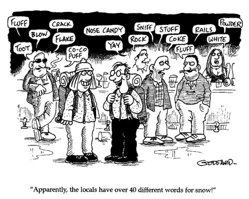 'Apparently, the locals have over 40 different words for snow!'