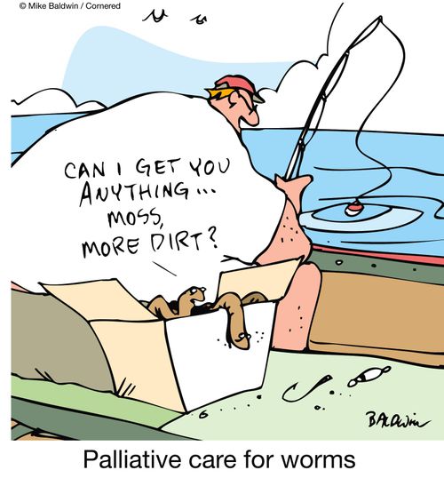 Palliative care for worms.