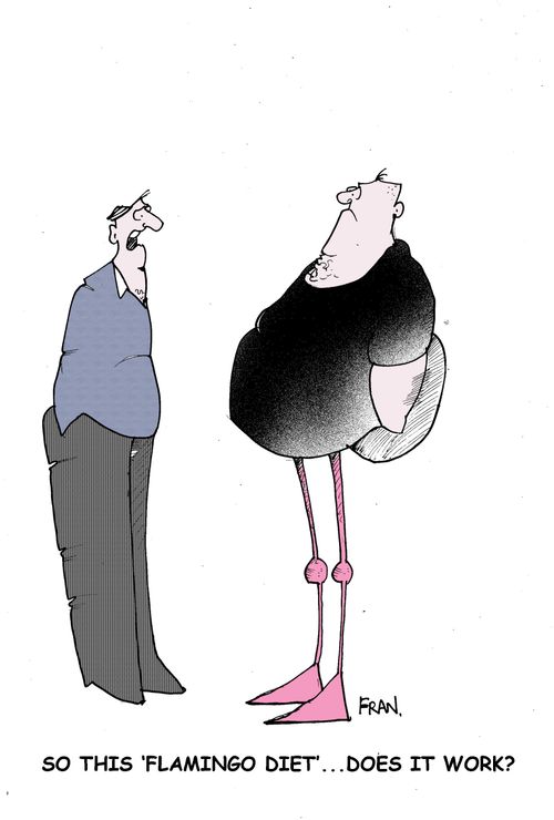 So this 'flamingo'diet, does it work?