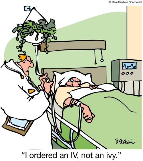 'I ordered an IV, not an ivy.'
