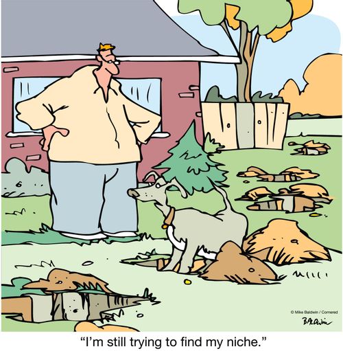 "I'm still trying to find my niche."