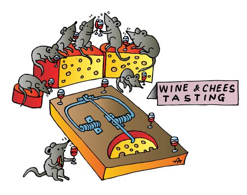 Wine and chees tasting