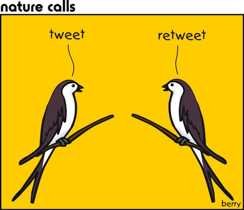 Birds Tweet and Retweet.