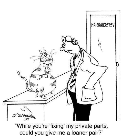 'While you're 'fixing' my private parts, could you give me a loaner pair?'