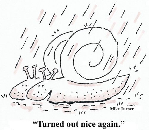 'Turned out nice again.'