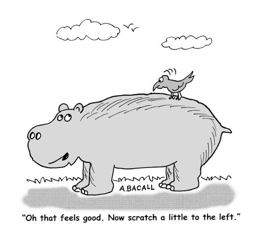 "That feels good...now scratch a little to the left."