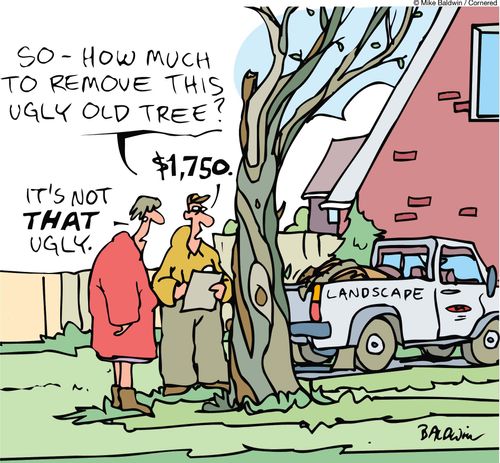 'So, how much to remove this ugly old tree? $1750. It's not THAT ugly.'