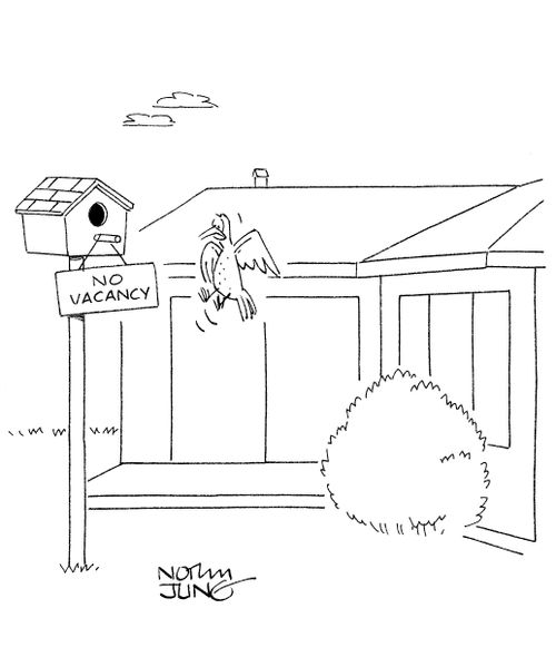Bird sees 'No Vacancy' sign on birdhouse