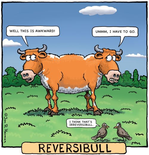 Reversibull: 'Well this is awkward.'