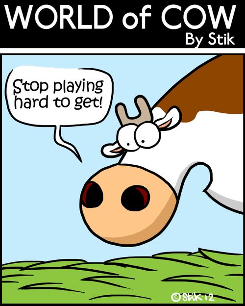 'Stop playing hard to get!'