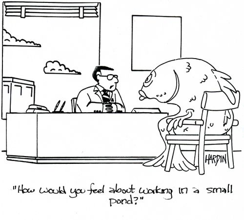 'How would you feel about working in a small pond?'
