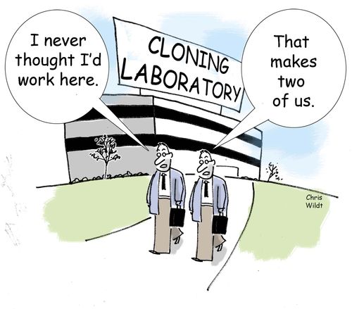 Cloning Laboratory: 'I never thought I'd work here.'