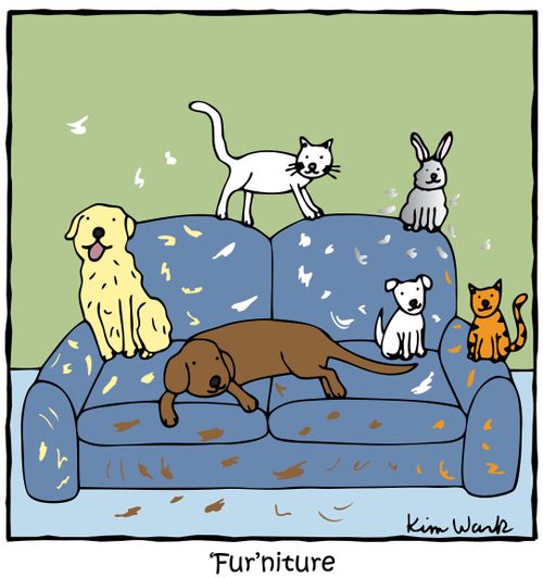 Fur'niture