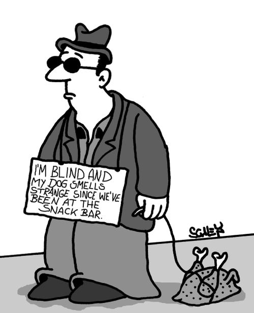 'I'm blind and my dog smells strange since we've been at the snack bar.'