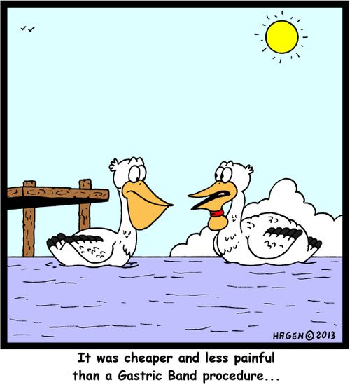 'It was cheaper and less painful than a Gastric Band procedure...'