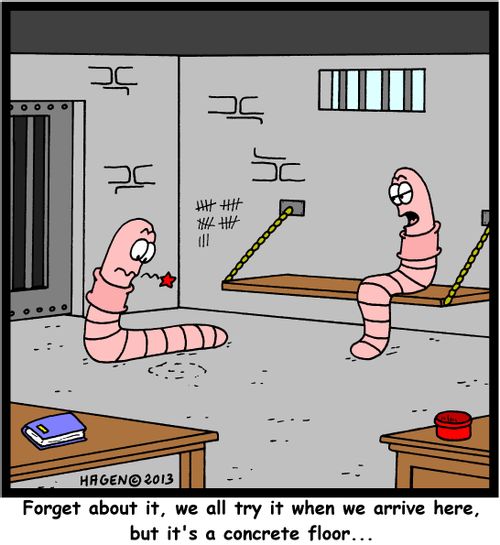 'Forget about it, we all try it when we arrive here, but it's a concrete floor...'