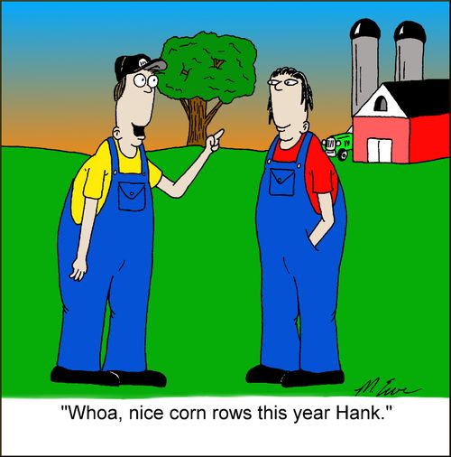 'Whoa, nice corn rows this year Hank.'
