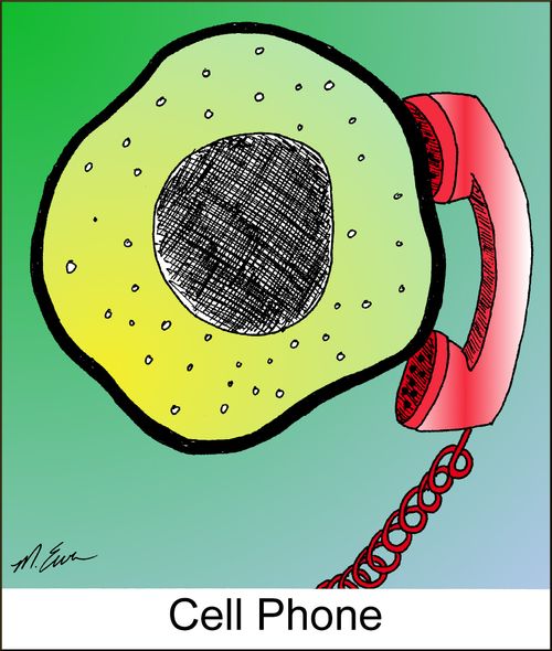 Cell Phone
