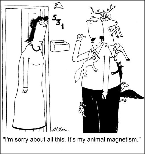 "I'm sorry about all this. It's my animal magnetism."