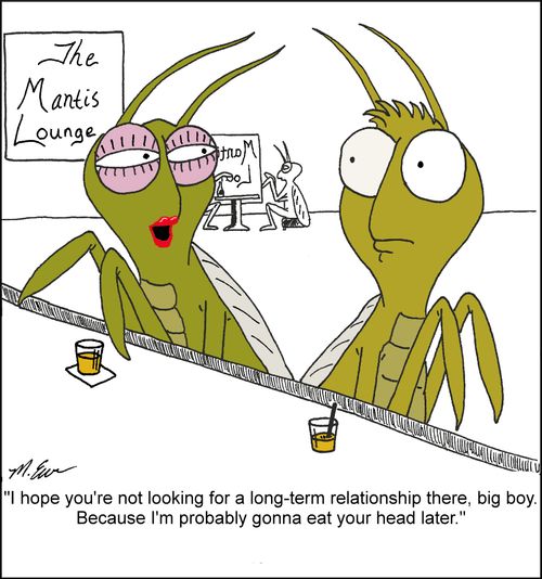 "I hope you're not looking for a long-term relationship there, big boy. Because I'm probably gonna eat your head later."