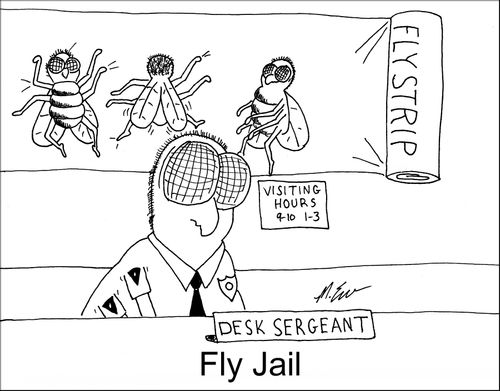 Fly jail.