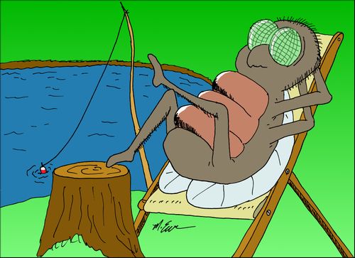 Fly Fishing