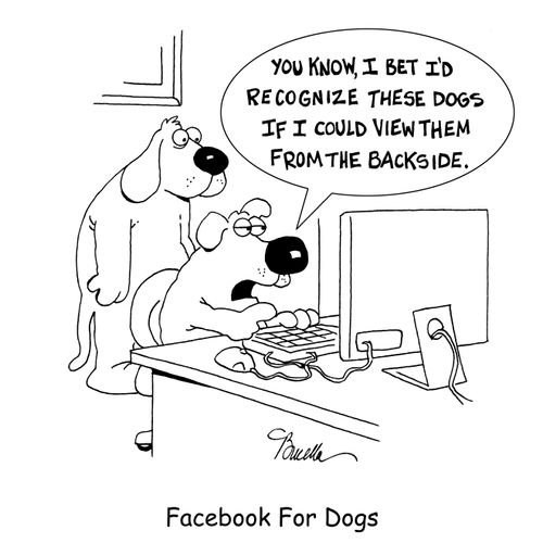 Facebook For Dogs.