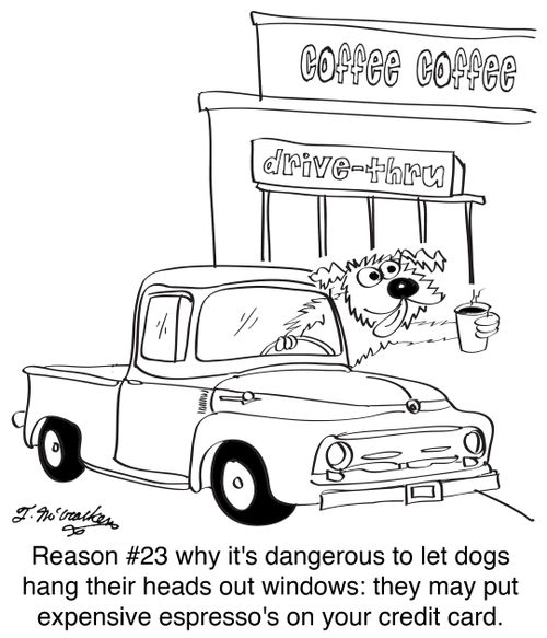 Reason #23 why it's dangerous to let dogs hang their heads out windows: they may put expensive espresso's on your credit card.