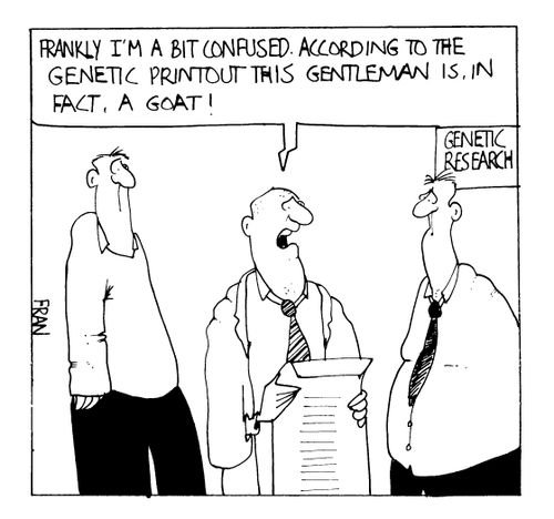 "Frankly I'm a bit confused. According to the genetic printout this gentleman is in fact, a goat."