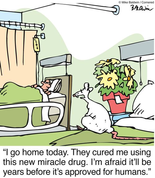 "I go home today. They cured me using this new miracle drug. I'm afraid it'll be years before it's approved for humans."