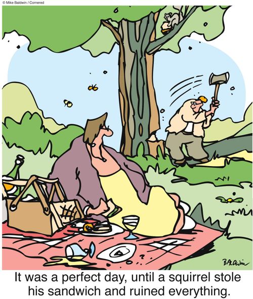 It was a perfect day, until a squirrel stole his sandwich and ruined everything.  