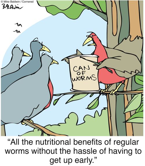 'All the nutritional benefits of regular worms without the hassle of having to get up early.'