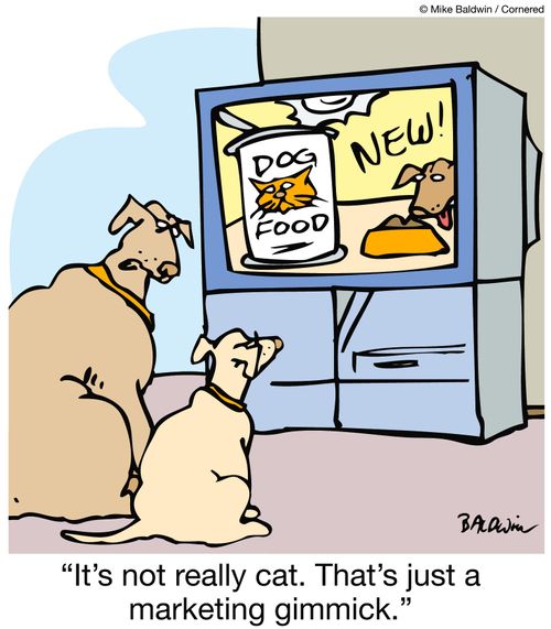 "It's not really cat. That's just a marketing gimmick."