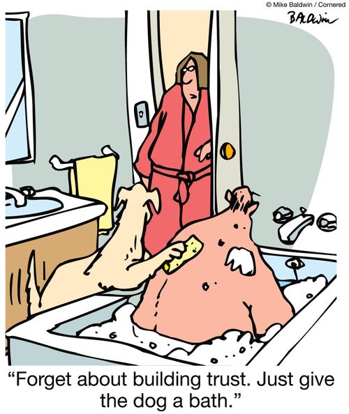'Forget about building trust.  Just give the dog a bath.'