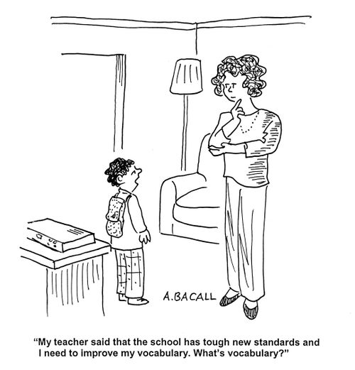 'My teacher said that the school has tough new standards and I need to improve my vocabulary.  What's vocabulary?'