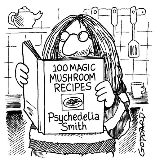 Psychedelia Smith Cook Book.