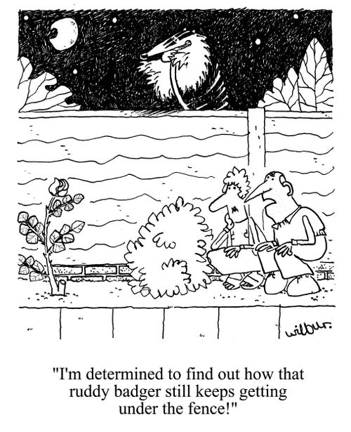 'I'm determined to find out how that ruddy badger still keeps getting under the fence!'