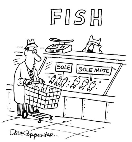 Fish counter: sole/solemate.