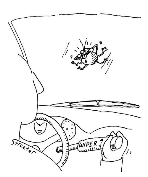 Bug on the windshield.