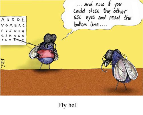 'And now if you could close the other 650 eyes and read the bottom line...'