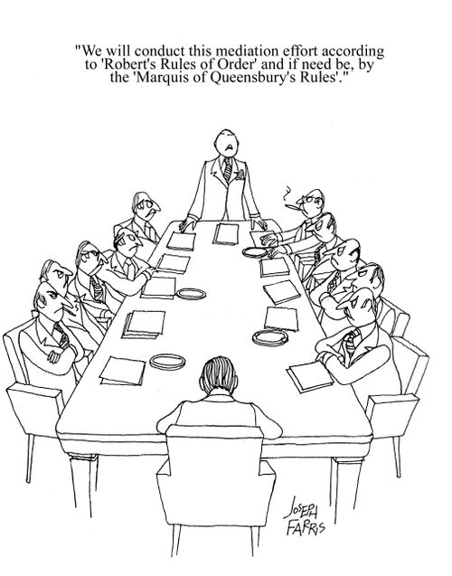 'We will conduct this mediation effort according to 'Robert's rules of order' and if need be, by the 'Marquis of Queensbury's rules.'