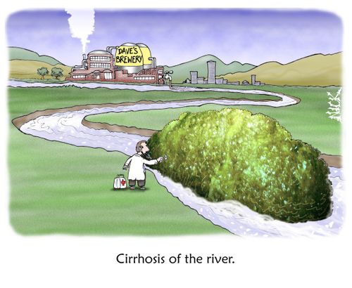 Cirrhosis of the river.
